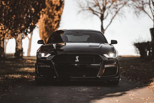 OG Cazino Cazinou Aplicație Android/iOS